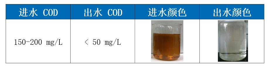 焦化廢水的無害化處理